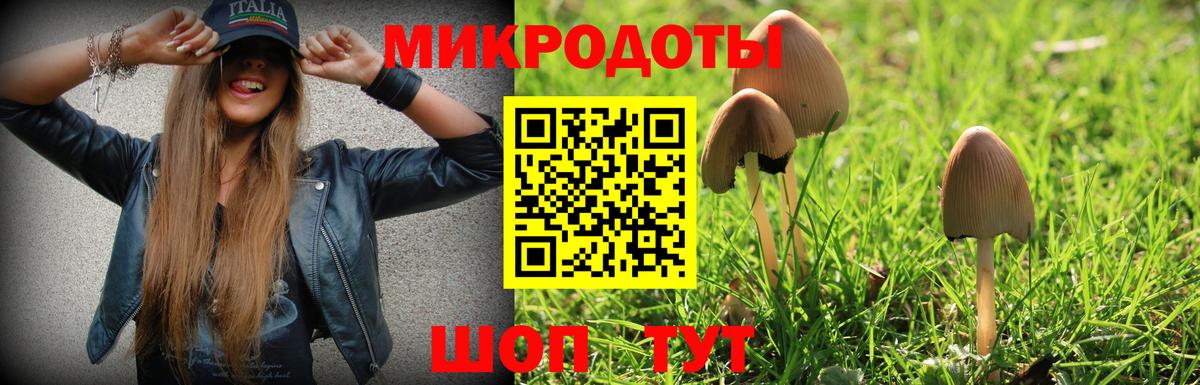 Псилоцибиновые грибы Psilocybe  сколько стоит  Саянск  Вход с VPN 